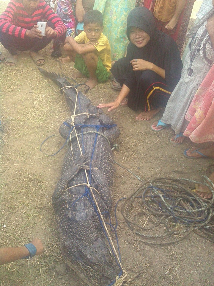 hasrin  November 2015