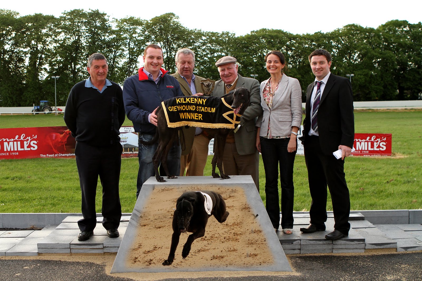 Kilkenny Dogs Photo Gallery