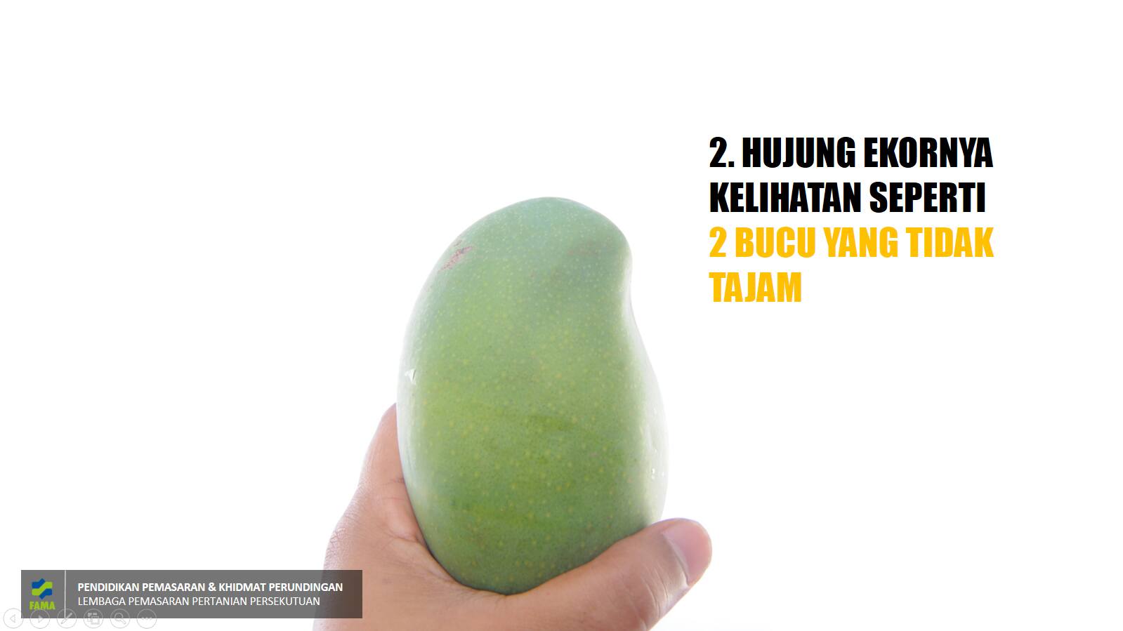 Cara Kenal Buah Mangga Harum Manis yang Asli