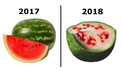 Transformace Zelených melounů
