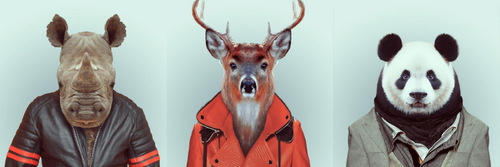 05-Artist-YAGO-PARTAL-Clothed-Animals-Rhino-Deer-Panda