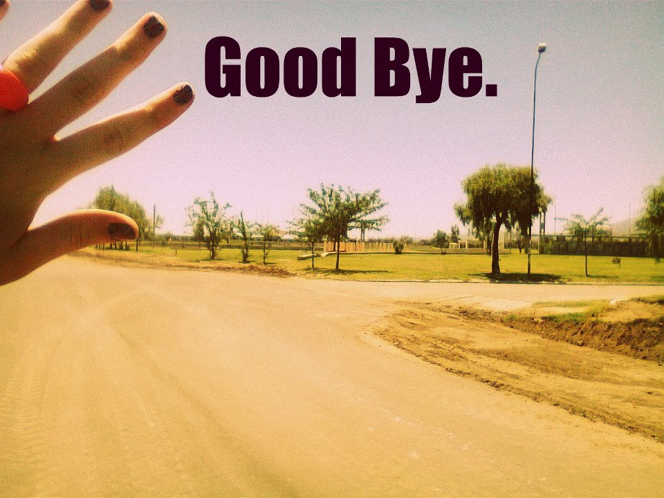 Bye bye phonk. Goodbye фото. Картинка Bye Bye. Good Bye Bye. Goodbye Мем.