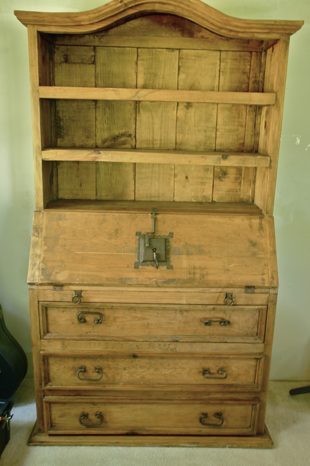 REDWOODSHIRE learning to grow; growing to learn Another amazing