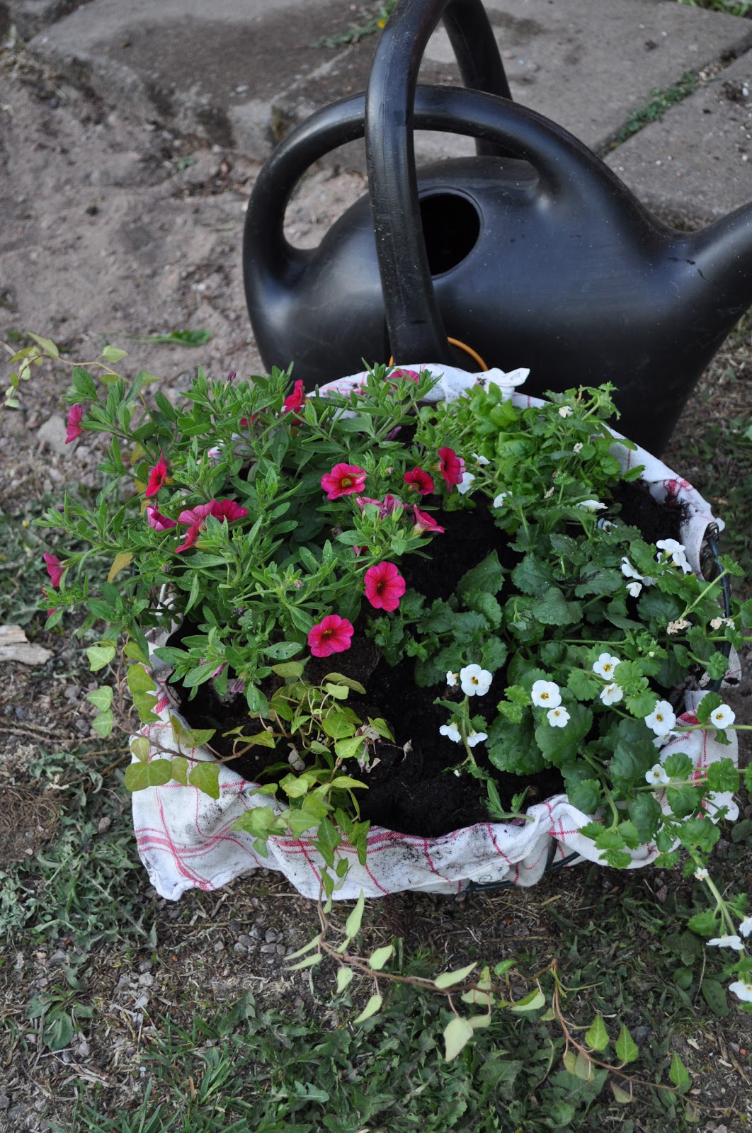 Ingapyssel Hanging baskets