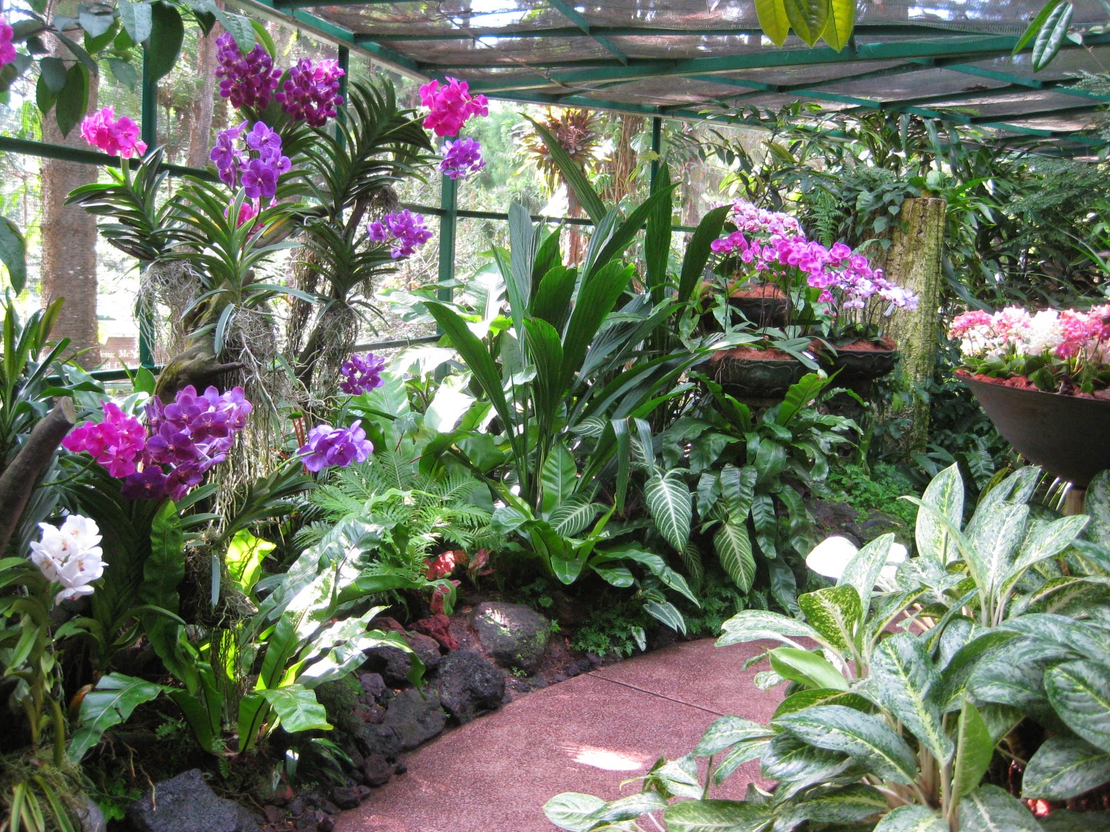 The Karmi's..Journey of our little family..: National Orchid Garden