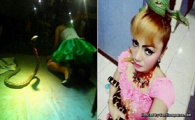 This Woman Bravely Chose To Continue Performing Even After A Venomous Cobra Bit Her! This Woman Bravely Chose To Continue Performing Even After A Venomous Cobra Bit Her!