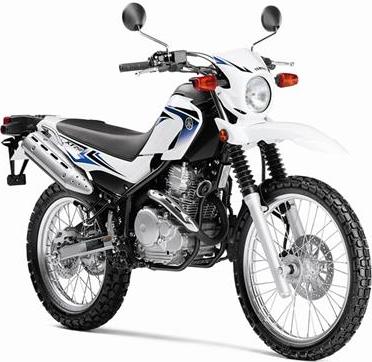 ten ten 250cc