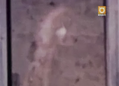 Ghost Pictures: Pink Lady ghost of greencastle