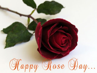 Happy Rose Day 2016 Real Gulaab HD Images