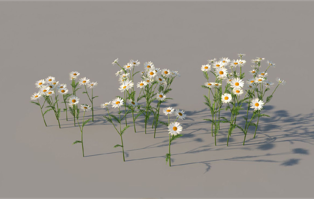 vray stock vray stock