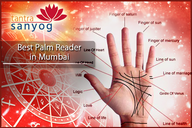 Best palm reader in Mumbai