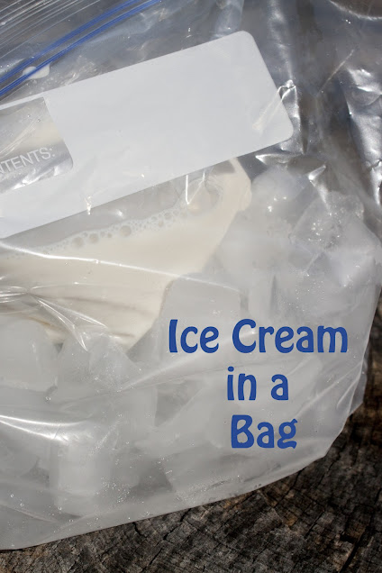 Kids can make their own Ice Cream in a Bag