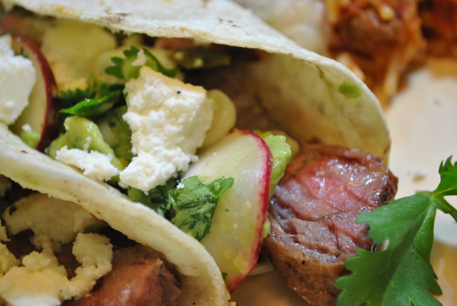 Bradt Family Recipes Street Steak Tacos with CilantroRadish Salsa