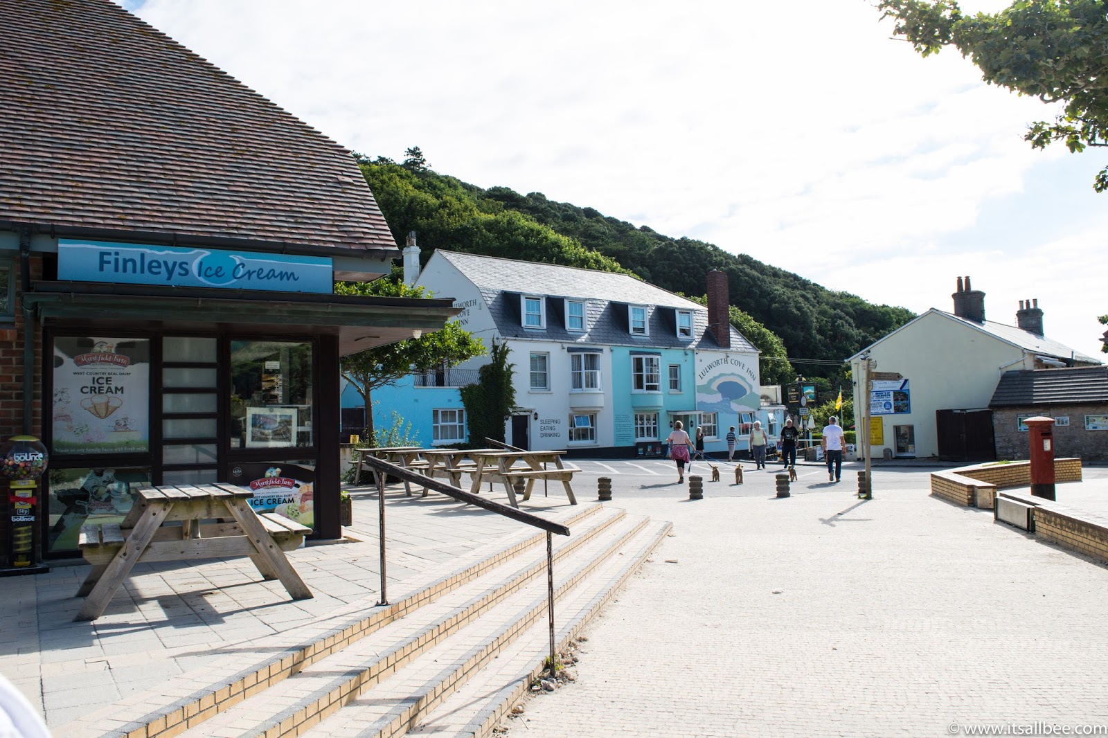 An English Summer In Lulworth Cove Its All Bee