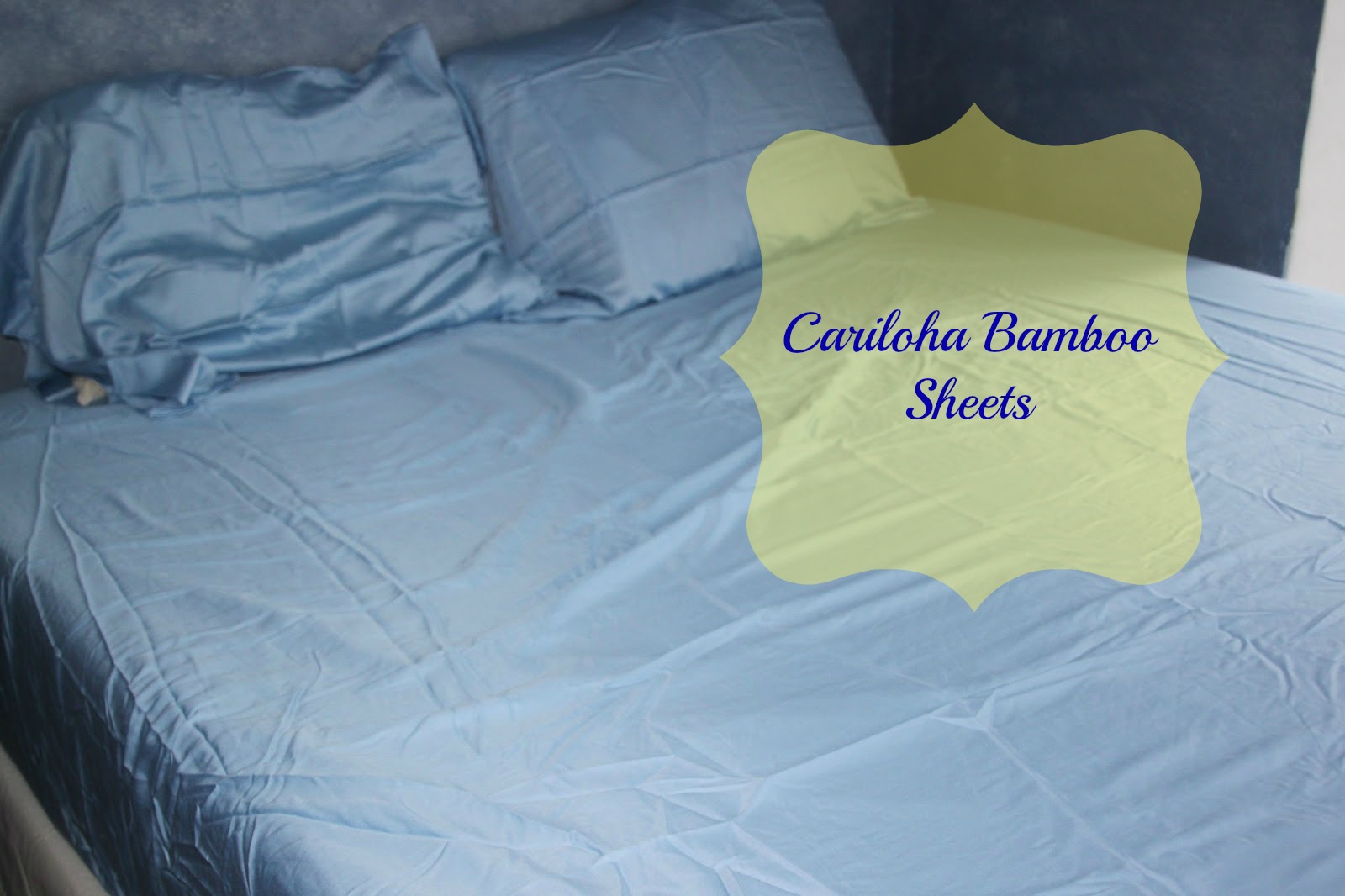 Susan's Disney Family Cariloha Bamboo Sheets amazingly soft sheets you