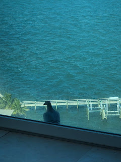 Condo by the Sea