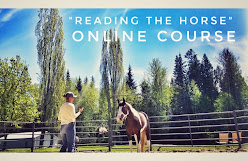 Horse Behavior Video Course