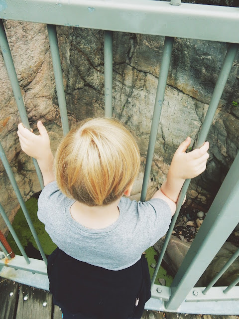 Jääkausi keskellä kauppareissua