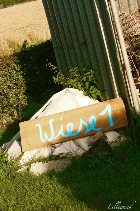 Lillewind August 2015