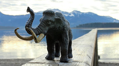 «Νεκρανάσταση»: Θα δημιουργήσουν το πρώτο υβρίδιο μαμούθ-ελέφαντα  