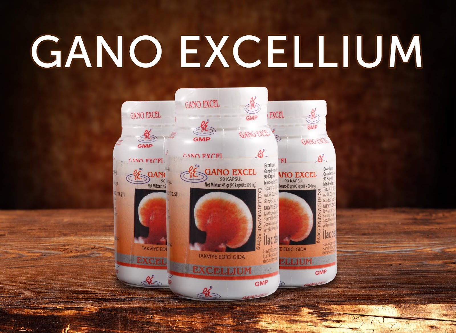 GANO EXCEL TÜRKİYE GANO EXCELLIUM