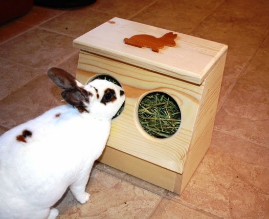 BlueRidgePetCenter: Rabbit Hay Feeder and Litter Box