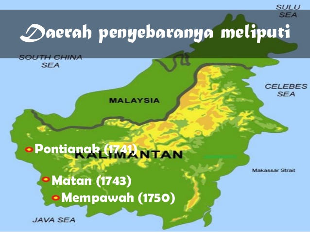 Perkembangan Islam di Sulawesi, Kalimantan, Maluku dan ...
