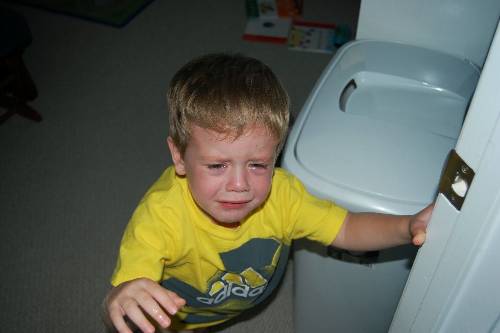 McMotte Temper Tantrum Turtle