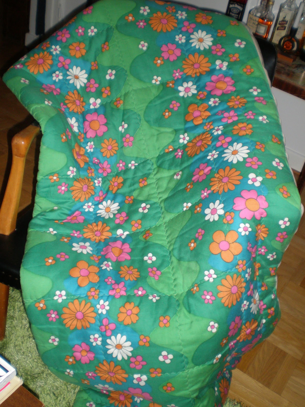 Tova Vilhelmina An old sleeping bag