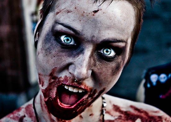 zombie safe house randommusings.filminspector.com