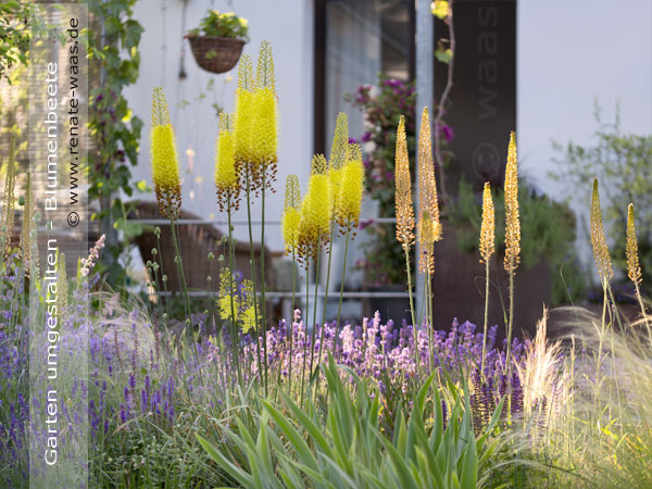 Einen Garten umgestalten - Gartenplanung, Blumenbeete planen und anlegen