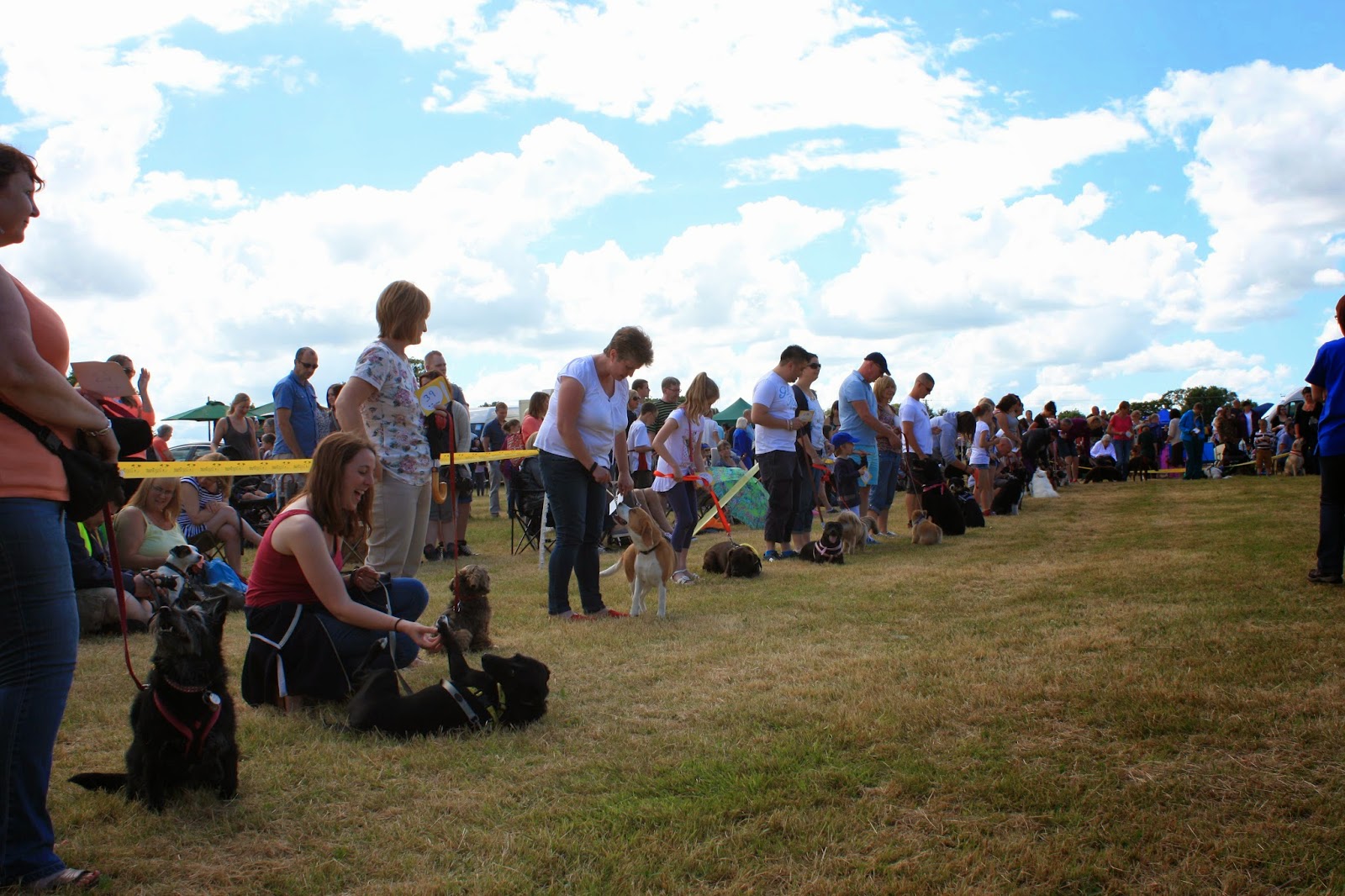 Dogs Trust Dogs Trust Shrewsbury Open Day