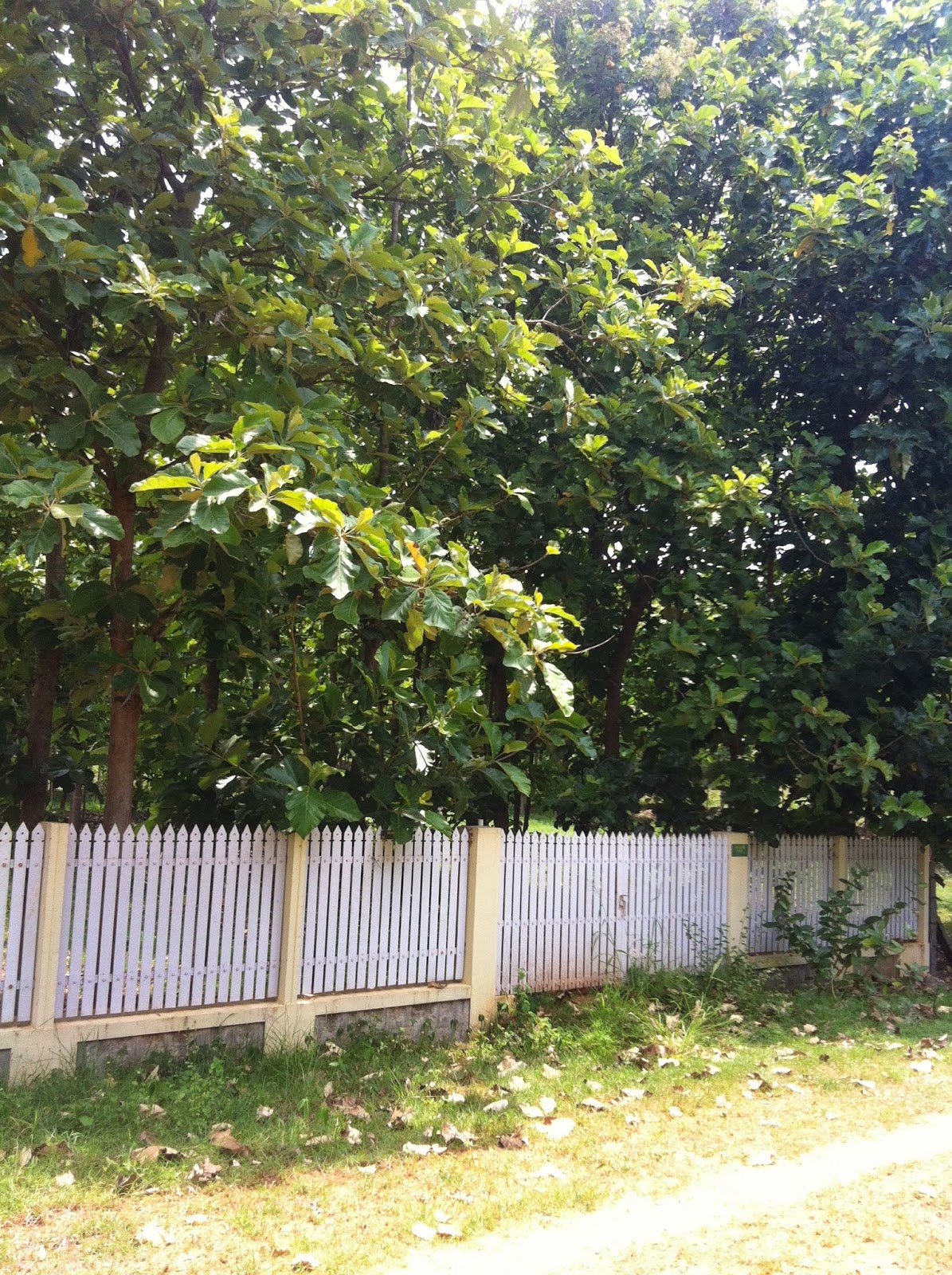 Emerald Enclave, Mysore