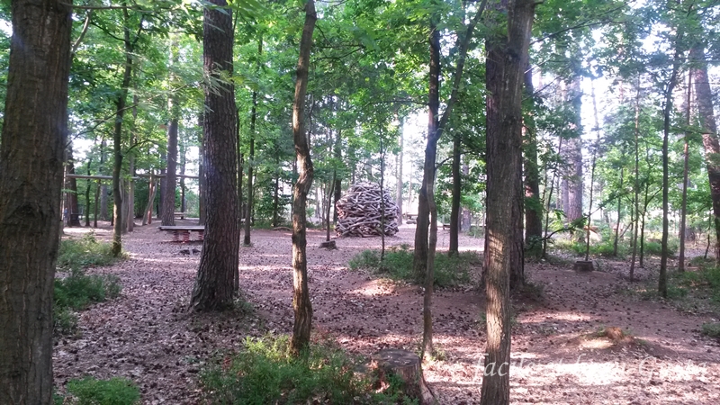 Kunstunterricht Stilleben Zeichnen Ein Stillleben Zeichnen In Vier