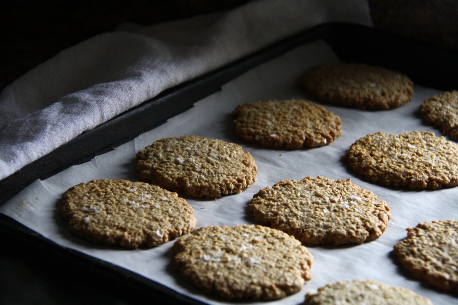 Salted Sugared Spiced English Oat Crackers salted-sugared-spiced-english-oat-crackers