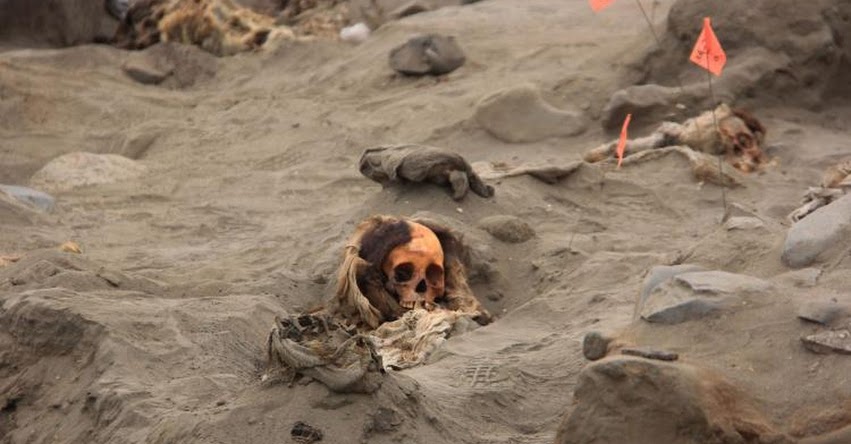 Hallazgo de 33 restos de niños confirma que Huanchaco fue un lugar sagrado para la cultura Chimú, informaron investigadores Hallazgo de 33 restos de niños confirma que Huanchaco fue un lugar sagrado para la cultura Chimú, informaron investigadores