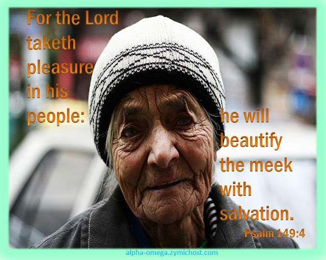 For the Lord taketh pleasure in his people: he will beautify the meek with salvation.