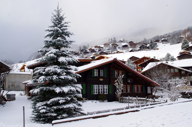 Grindelwald Winter