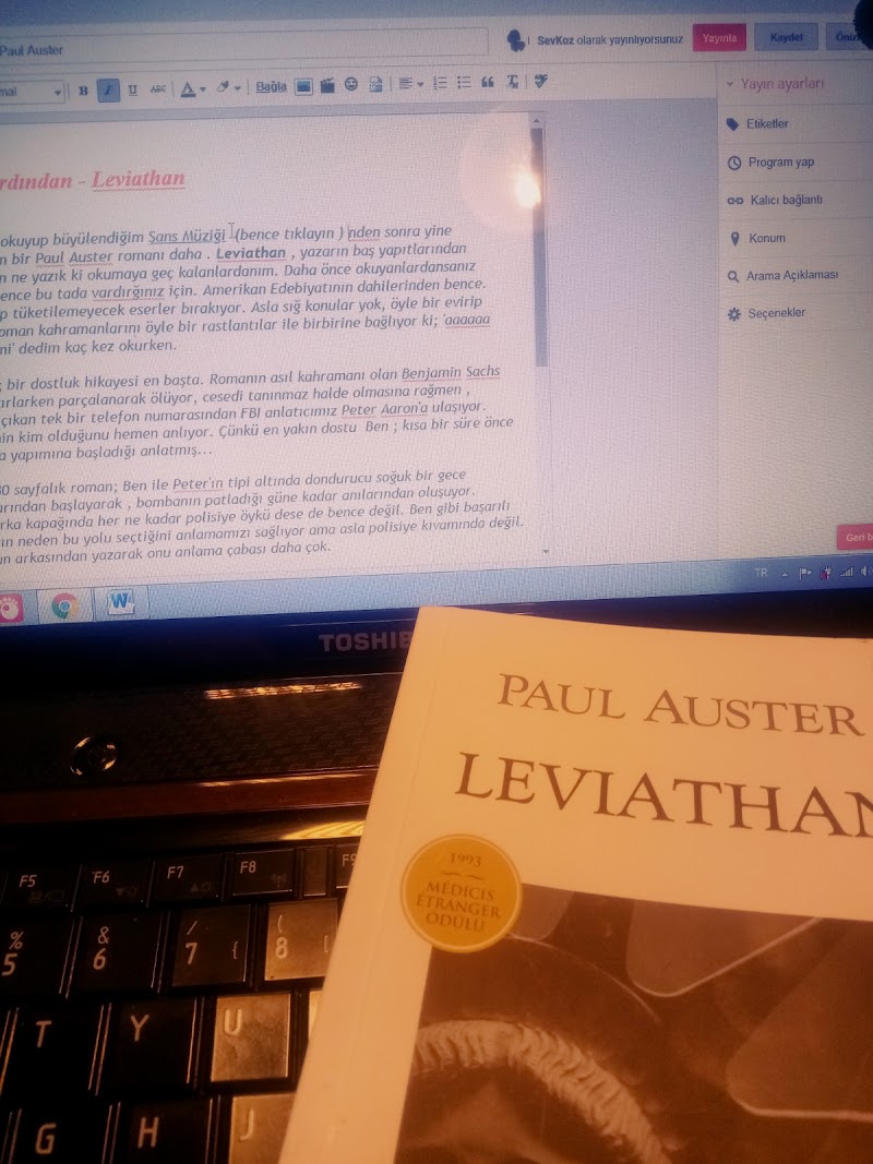 Leviathan - Paul Auster - Kitap Yorumu
