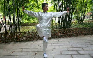 Author Kung Fu Techniques