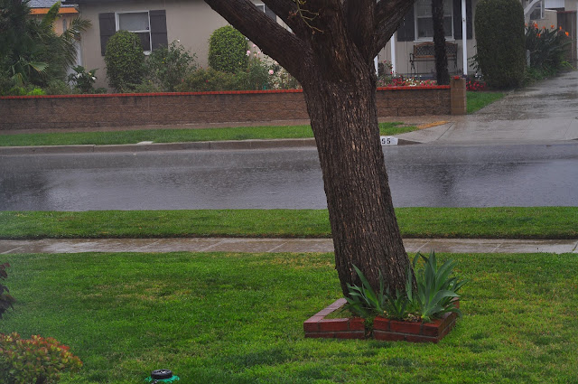 Self-Knowledge and Self-Realization: March 2012