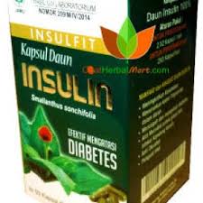 INSULFIT kapsul daun insulin diabetes