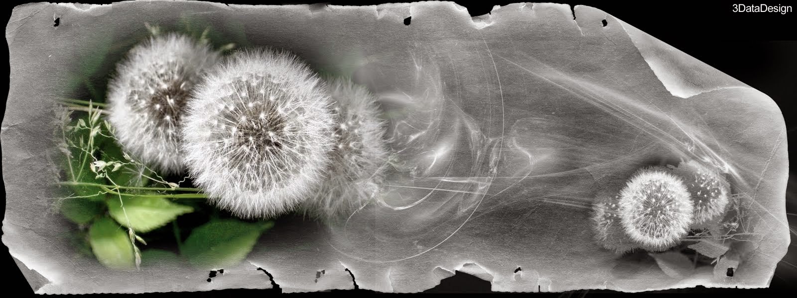 3D Flower Garden Wallpaper 2014|http://refreshrose.blogspot.com/