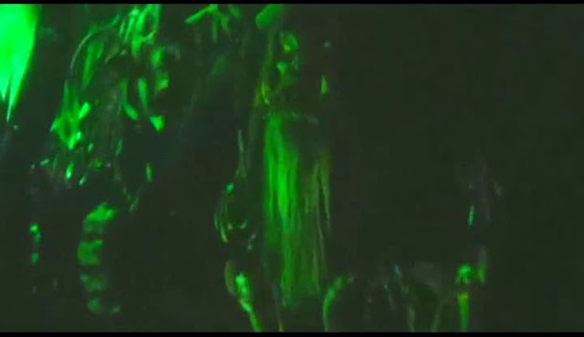 Warcraft (2016) ENGLISH CAMRip Watch Online Download Free
