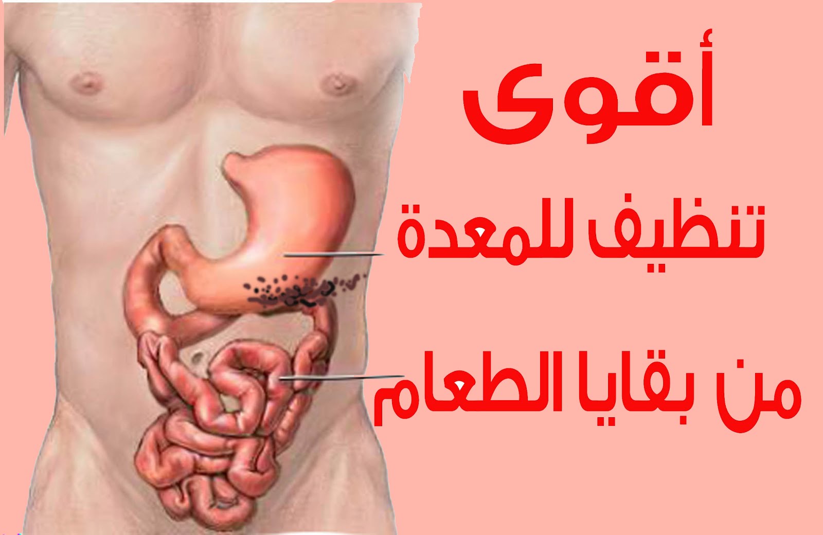 فيتو القحطاني جابر حبوب صويا PHYTOSOYA 60