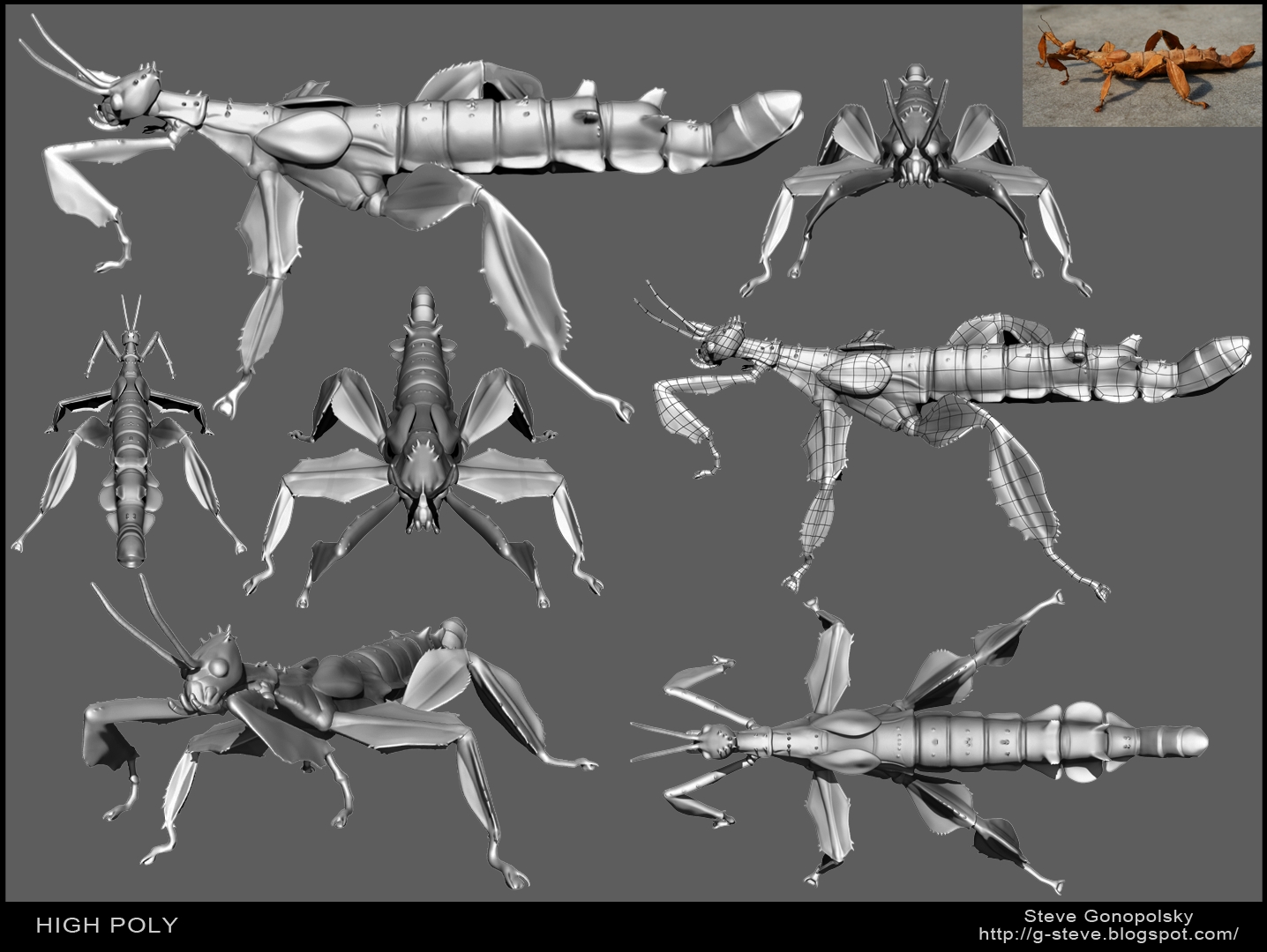 STEVE GONOPOLSKY : PORTFOLIO: 3D Portfolio, High Poly Renders
