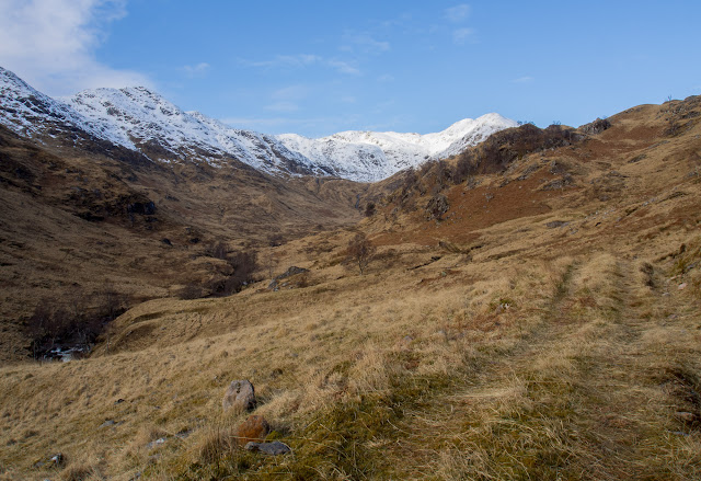 photo of Gleann Duhb Lighe after the deer fence