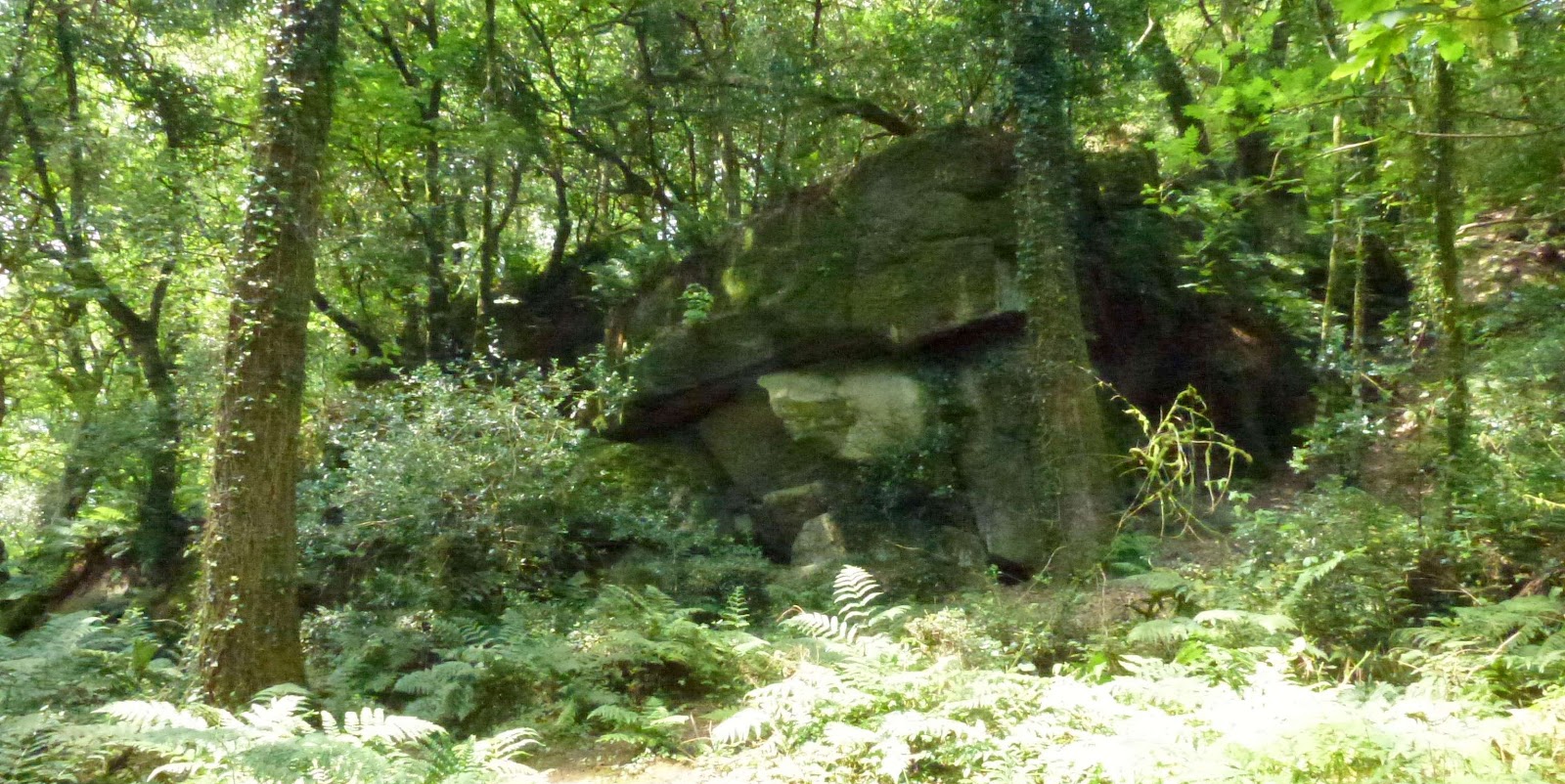 My Dartmoor Walks: Thursday 26th July Manaton Rocks