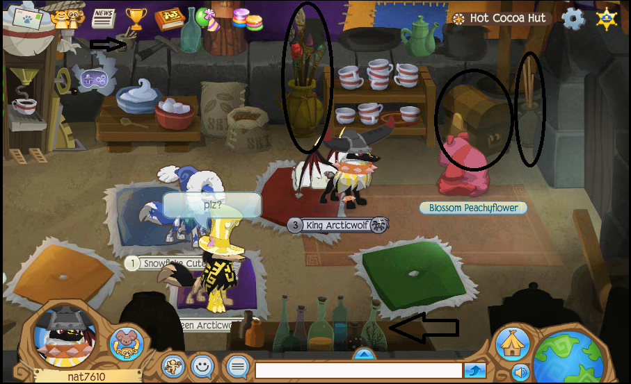 Animal Jam Info and Fun Parka and Mysterious stuff at Cocoa Hut
