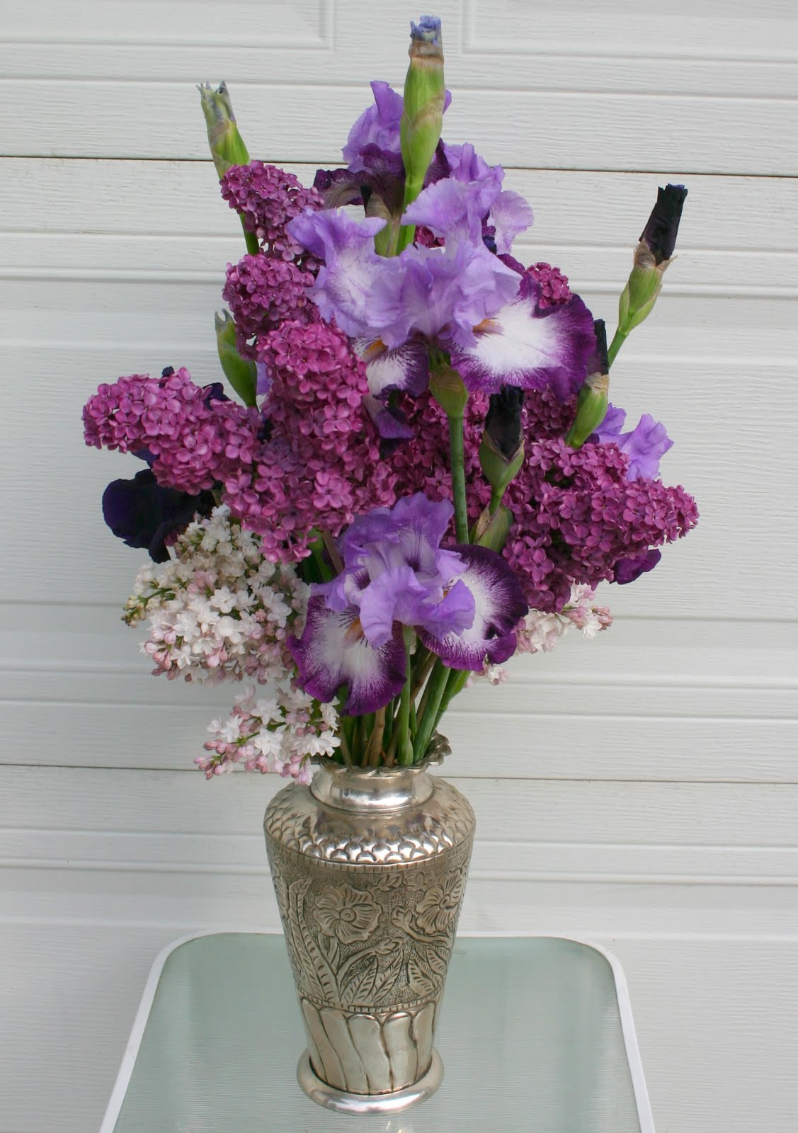 CUT FLOWERS FOR A LONGER VASE LIFE Sowing the Seeds